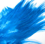 rooster saddle  king fisher blue